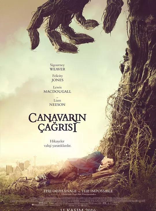 奇幻之旅，探索自然美景，心灵平和的寻访之路