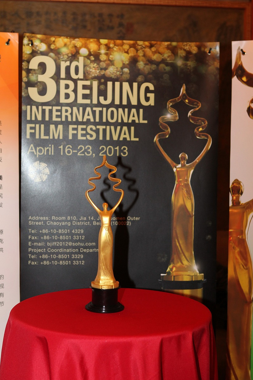 电影奖项，荣光与历史的交响乐章