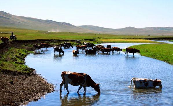 内蒙古风情与传奇探秘