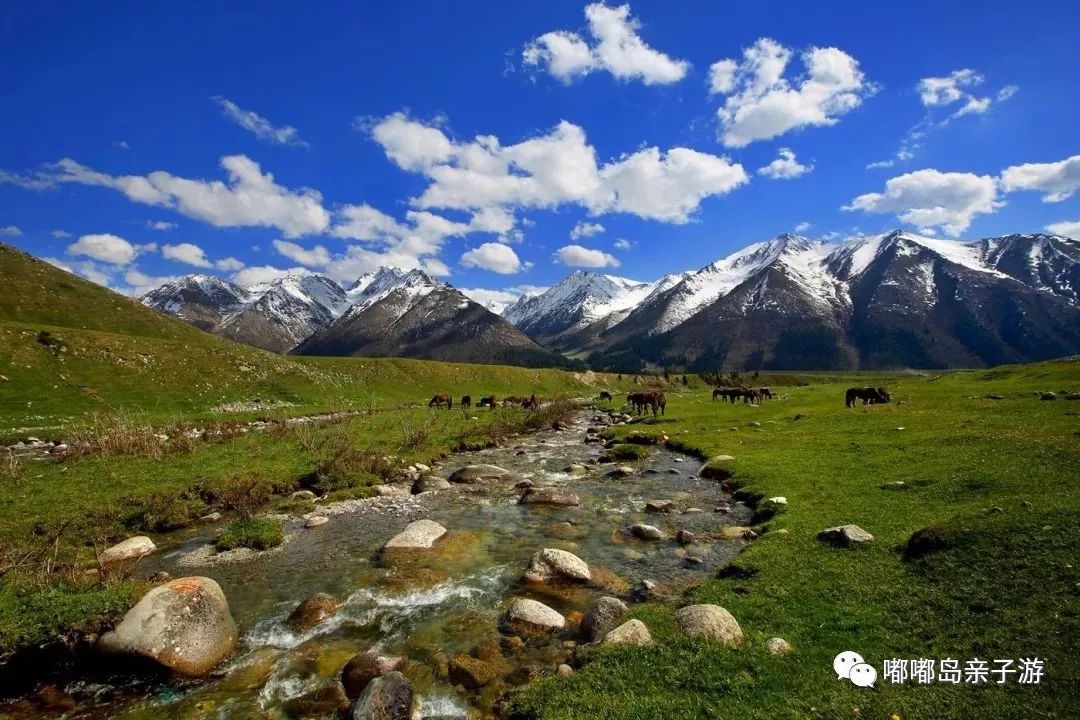 新疆小巷深处的味蕾秘境之旅
