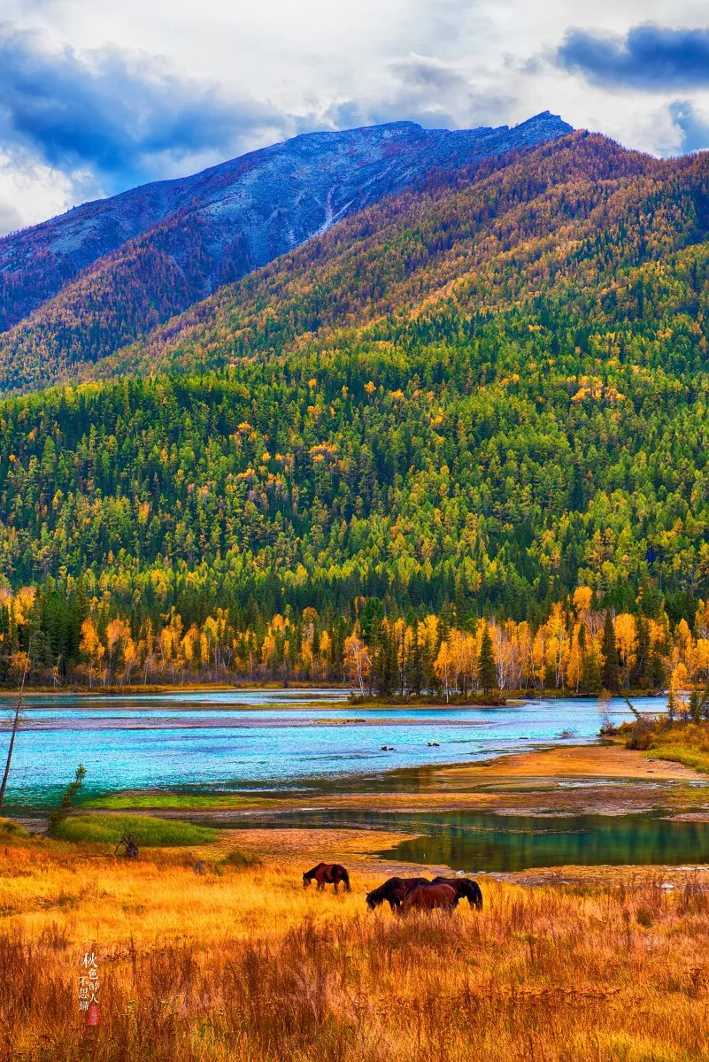 新疆小巷深处的味蕾秘境之旅