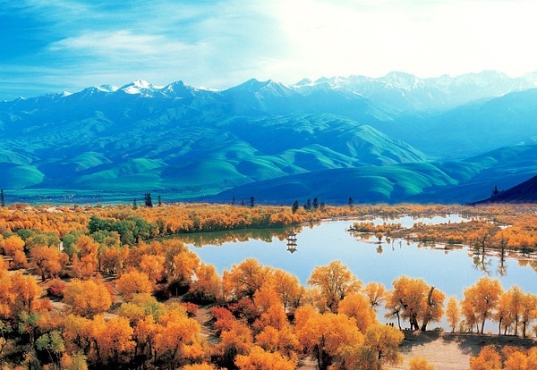 新疆小巷深处的味蕾秘境之旅